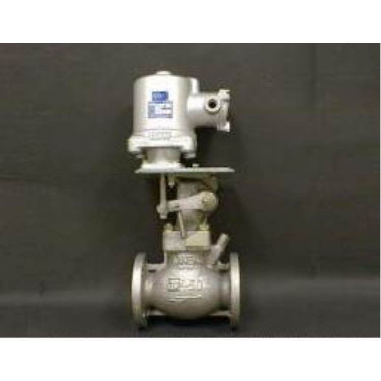 KANEKO늴yM30 C40CA66