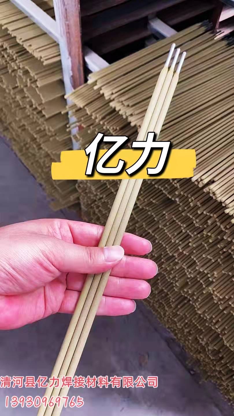TS-307HMP䓺l