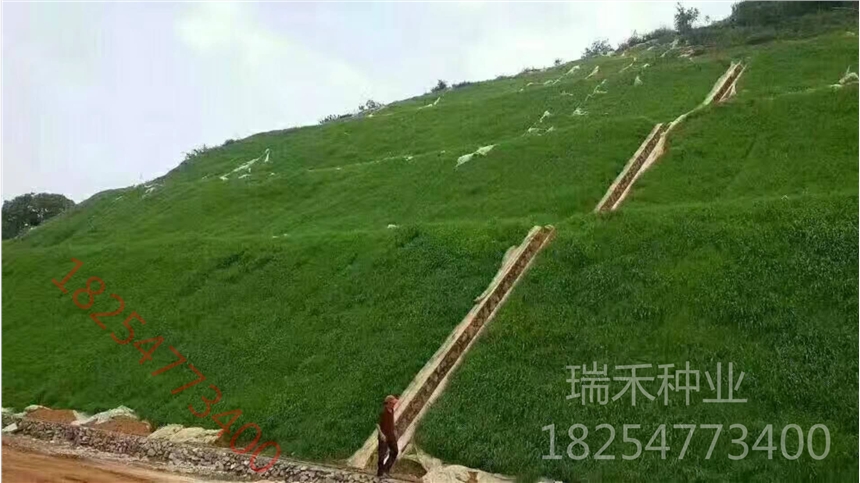 ƺNӃrλu