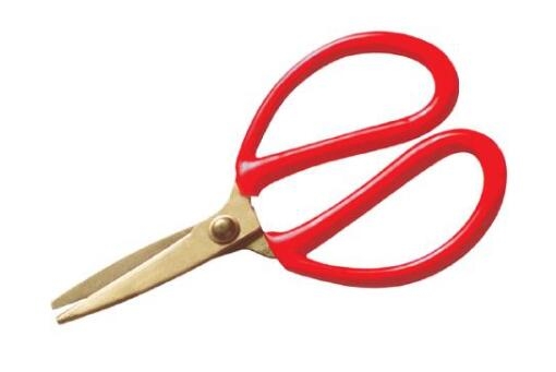 ߘƷFƤüAQSֱN