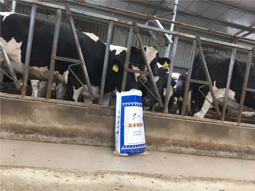 NĸţֳĸţA