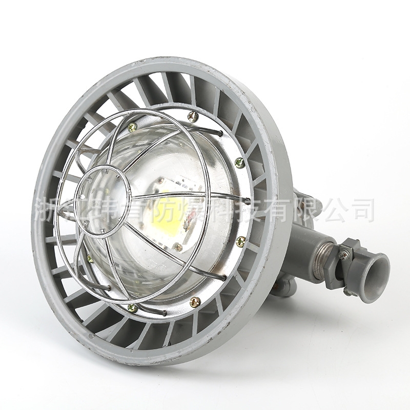 DGS24/127LAVLEDlr