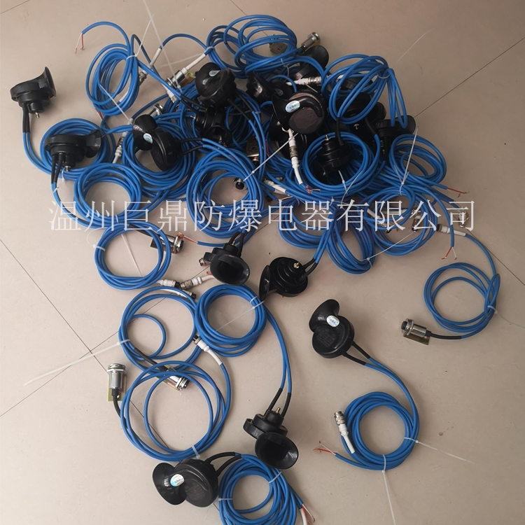޶DLEC1-24vVÝ汾|ȫ