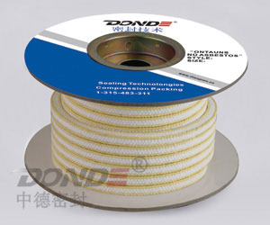 ZD-P1423]ǰķP