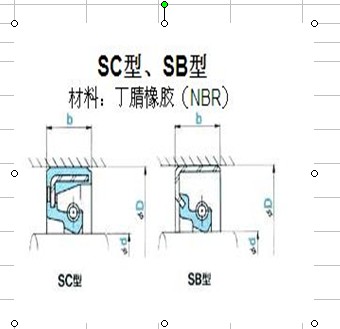 SCSBͷ  