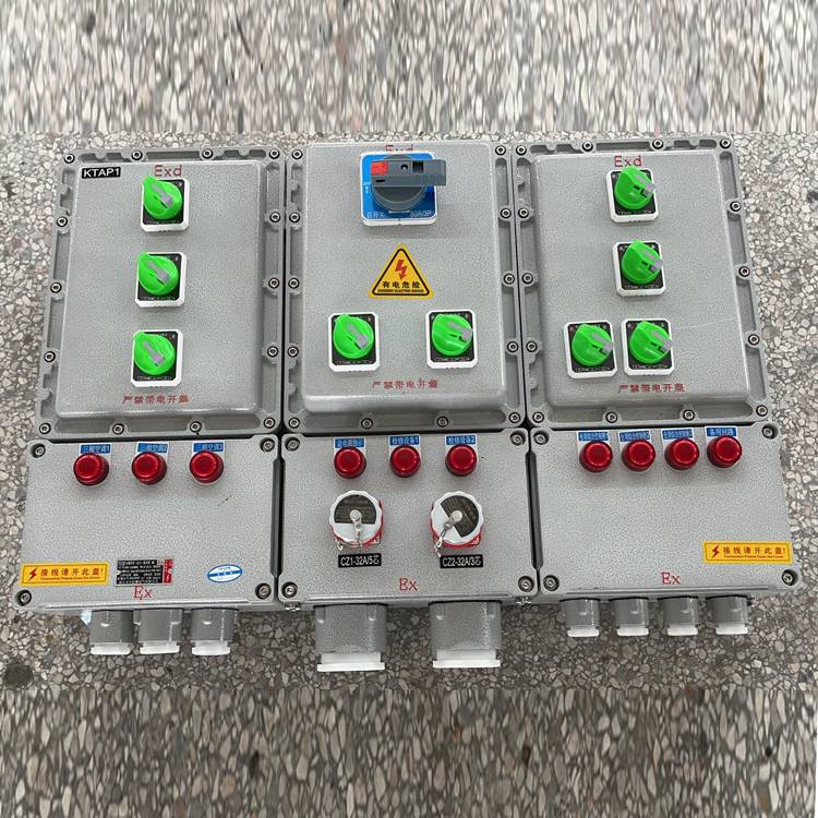  BXM53-10/K100/ExdeCT5/IP66/WF2