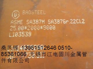 KϾSA387GR22Cl2Ͻ䓰塸
