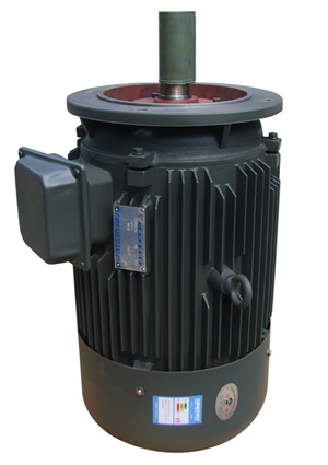 늄әC Y160M2-8  5.5KW
